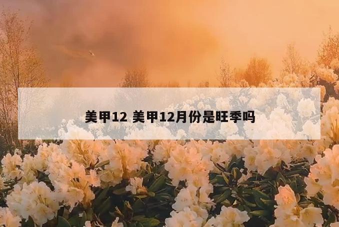 美甲12 美甲12月份是旺季吗