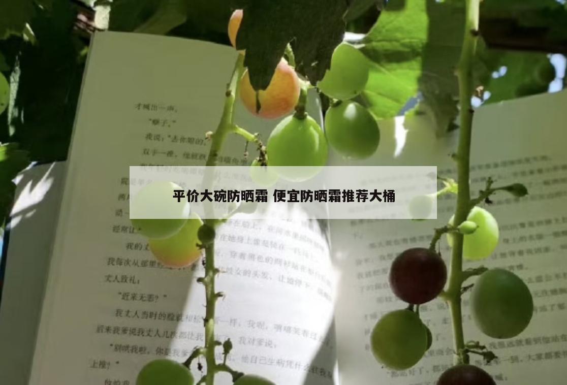 平价大碗防晒霜 便宜防晒霜推荐大桶