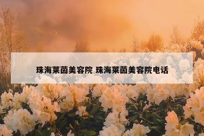 珠海莱茵美容院 珠海莱茵美容院电话