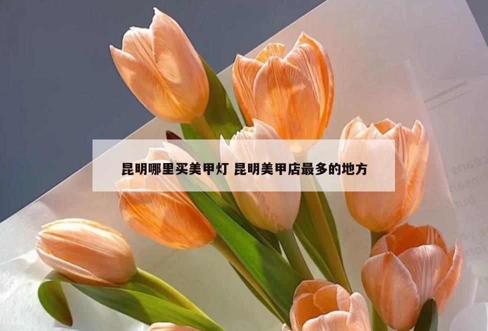 昆明哪里买美甲灯 昆明美甲店最多的地方