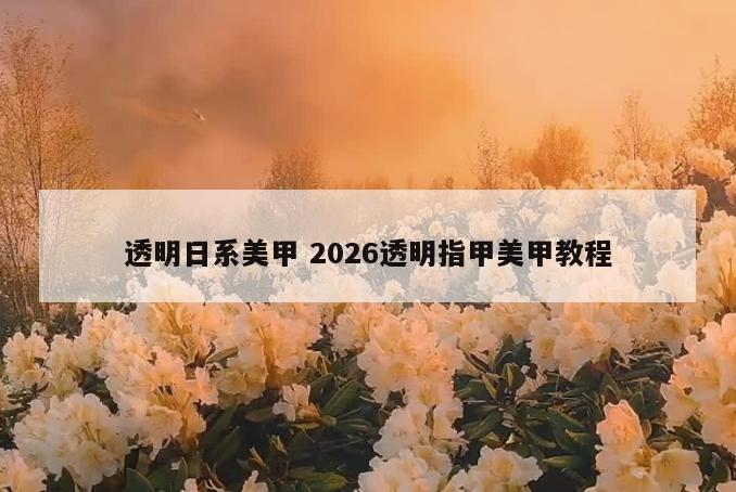 透明日系美甲 2026透明指甲美甲教程