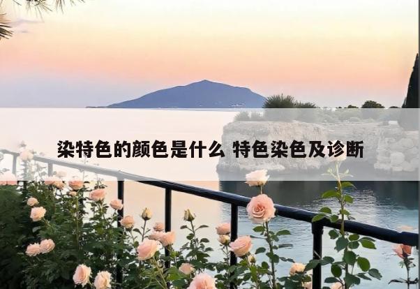染特色的颜色是什么 特色染色及诊断