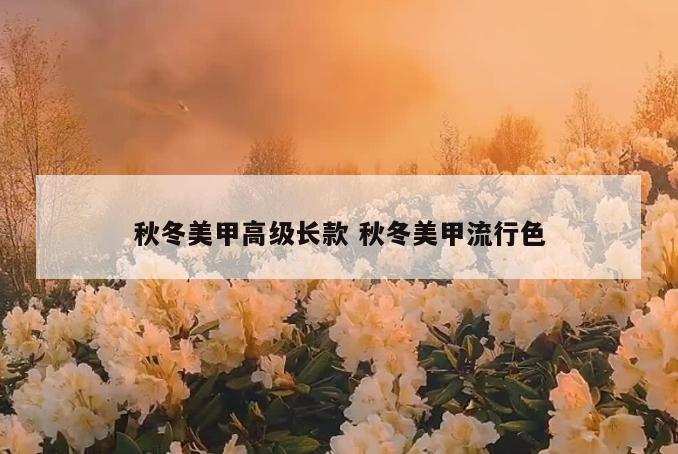 秋冬美甲高级长款 秋冬美甲流行色