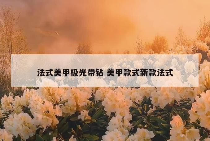 法式美甲极光带钻 美甲款式新款法式