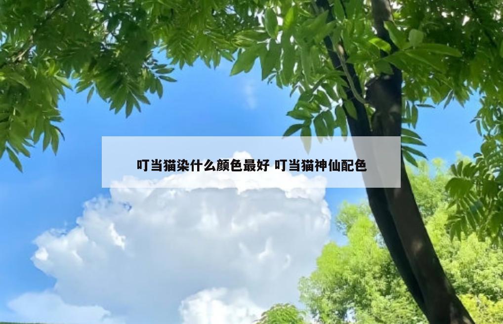 叮当猫染什么颜色最好 叮当猫神仙配色