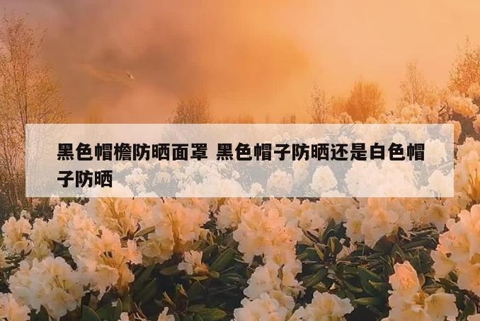 黑色帽檐防晒面罩 黑色帽子防晒还是白色帽子防晒