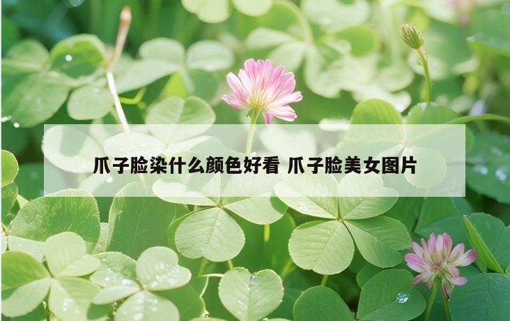 爪子脸染什么颜色好看 爪子脸美女图片