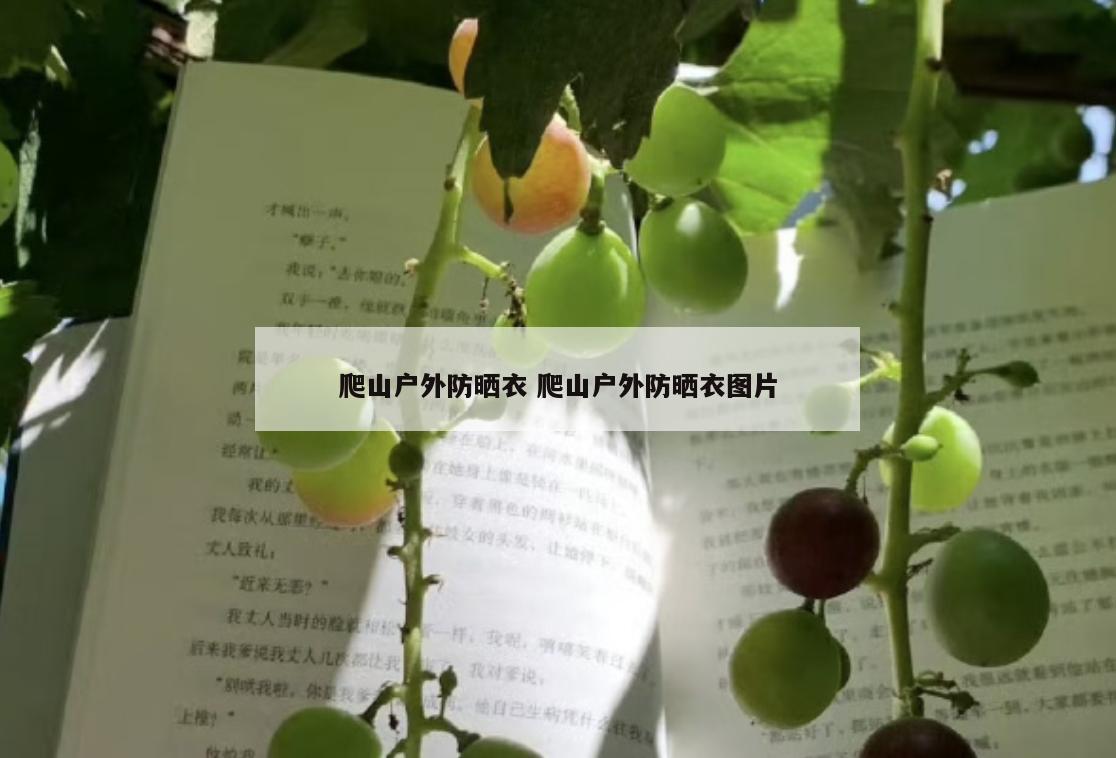 爬山户外防晒衣 爬山户外防晒衣图片