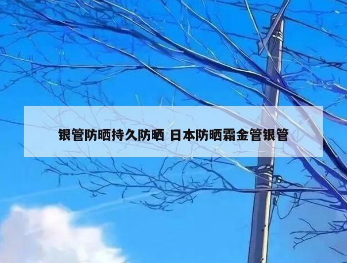 银管防晒持久防晒 日本防晒霜金管银管