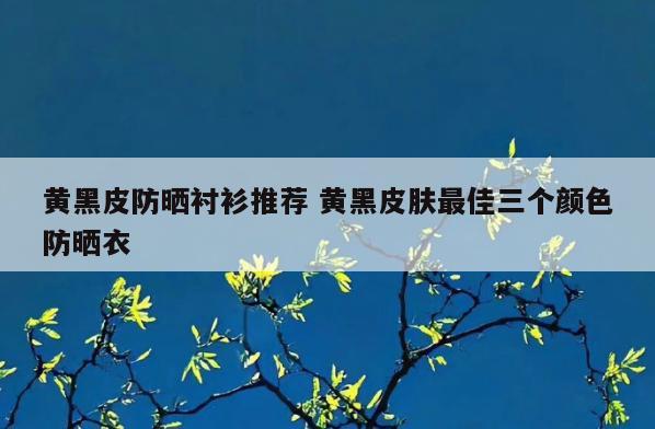 黄黑皮防晒衬衫推荐 黄黑皮肤最佳三个颜色防晒衣
