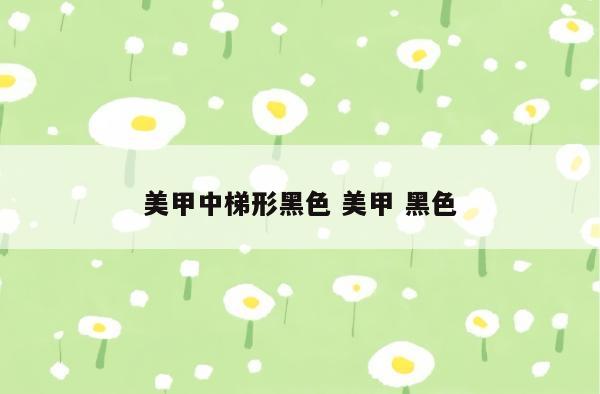 美甲中梯形黑色 美甲 黑色