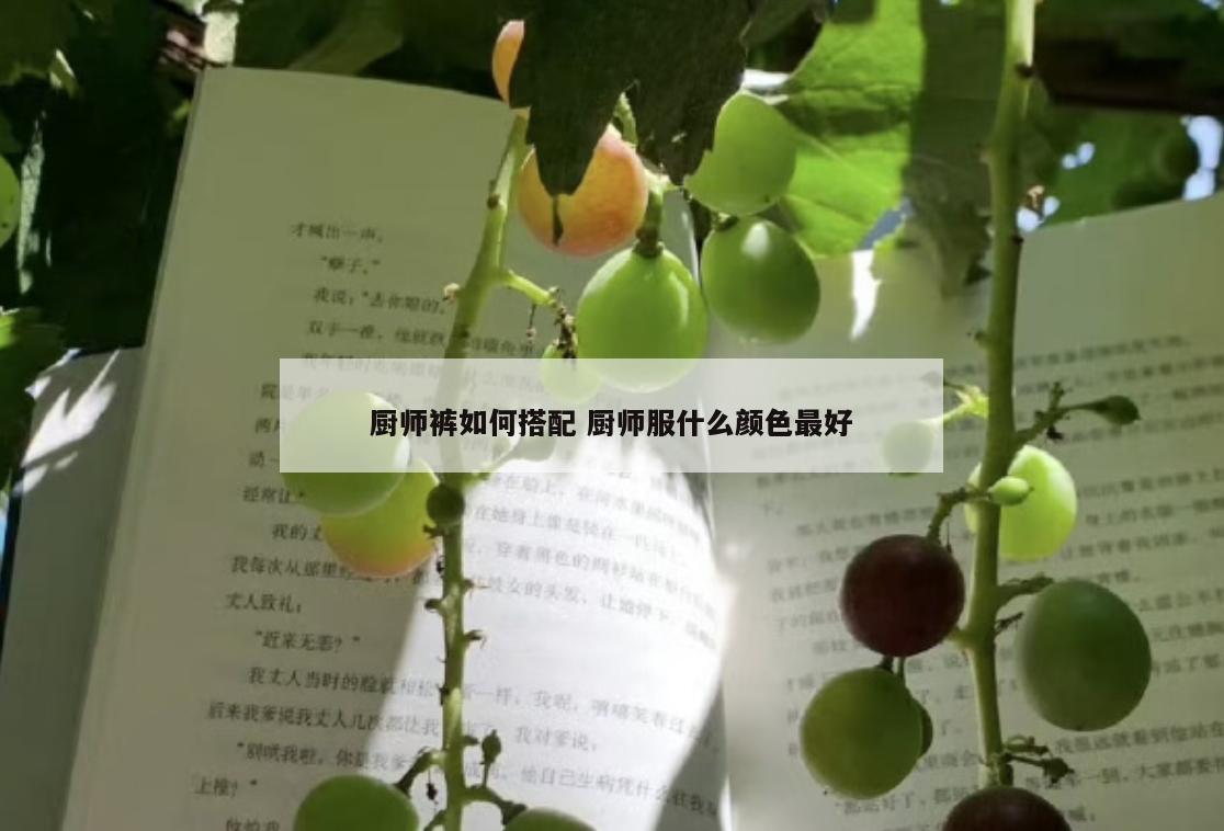 厨师裤如何搭配 厨师服什么颜色最好