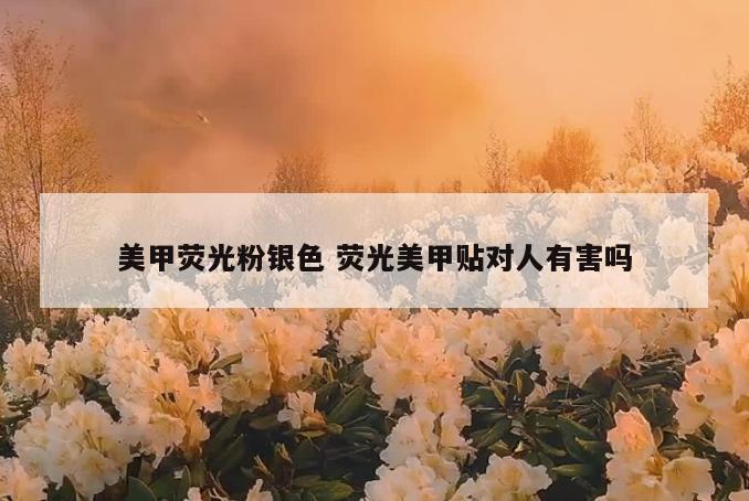 美甲荧光粉银色 荧光美甲贴对人有害吗