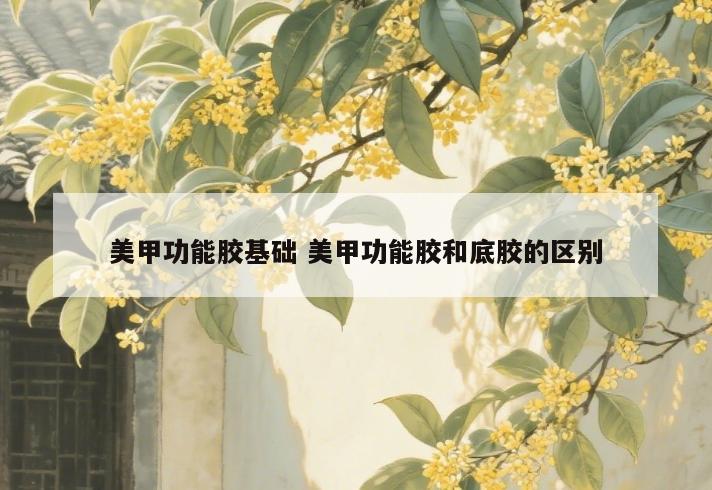 美甲功能胶基础 美甲功能胶和底胶的区别