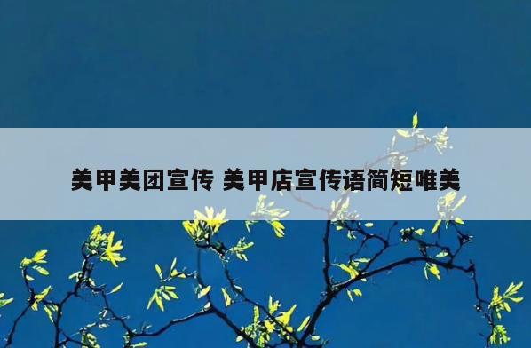美甲美团宣传 美甲店宣传语简短唯美