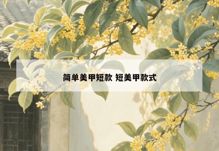 简单美甲短款 短美甲款式