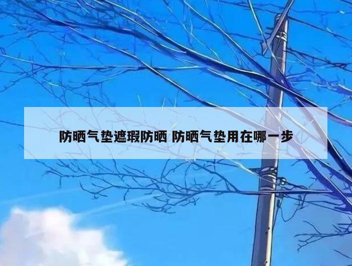 防晒气垫遮瑕防晒 防晒气垫用在哪一步