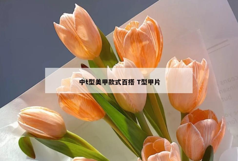 中t型美甲款式百搭 T型甲片