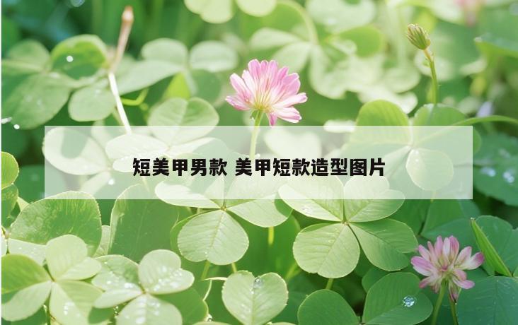 短美甲男款 美甲短款造型图片