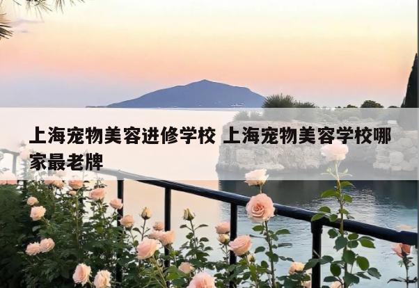 上海宠物美容进修学校 上海宠物美容学校哪家最老牌