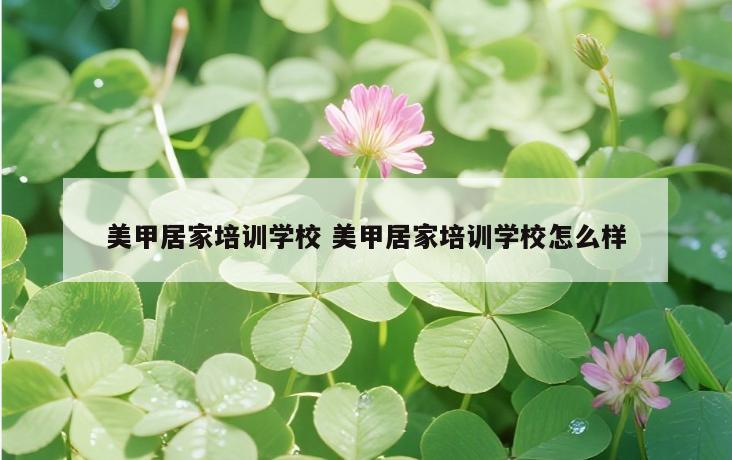 美甲居家培训学校 美甲居家培训学校怎么样