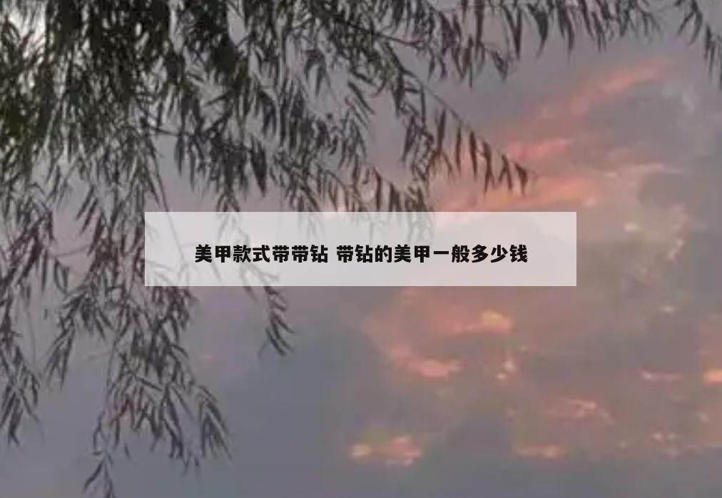 美甲款式带带钻 带钻的美甲一般多少钱