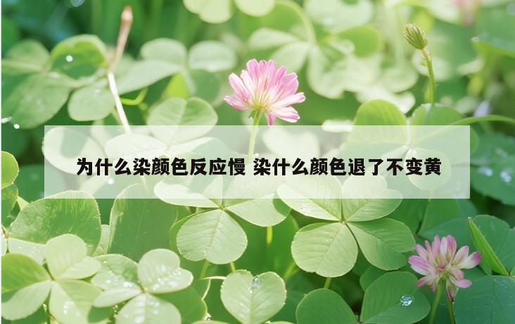 为什么染颜色反应慢 染什么颜色退了不变黄