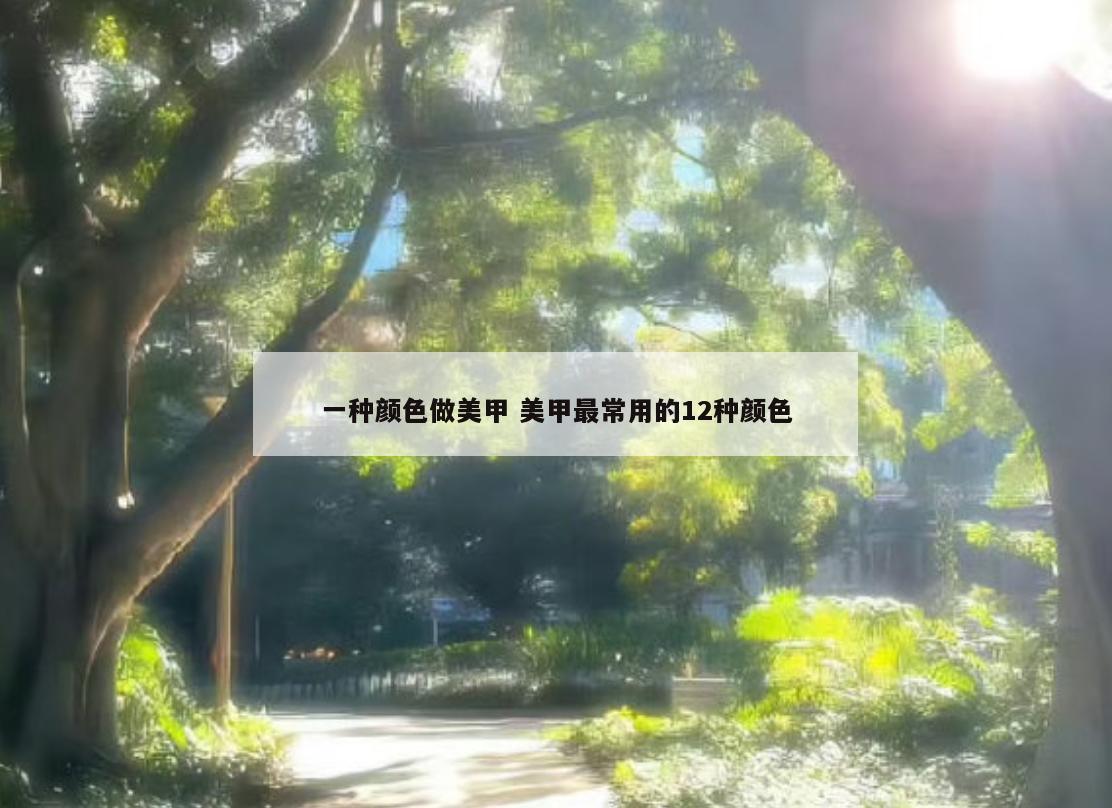 一种颜色做美甲 美甲最常用的12种颜色
